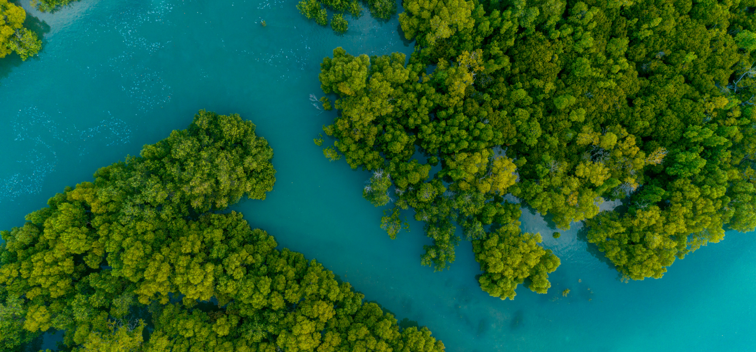 Nachhaltigkeit ist kein Trend. Sie ist unsere Zukunft.