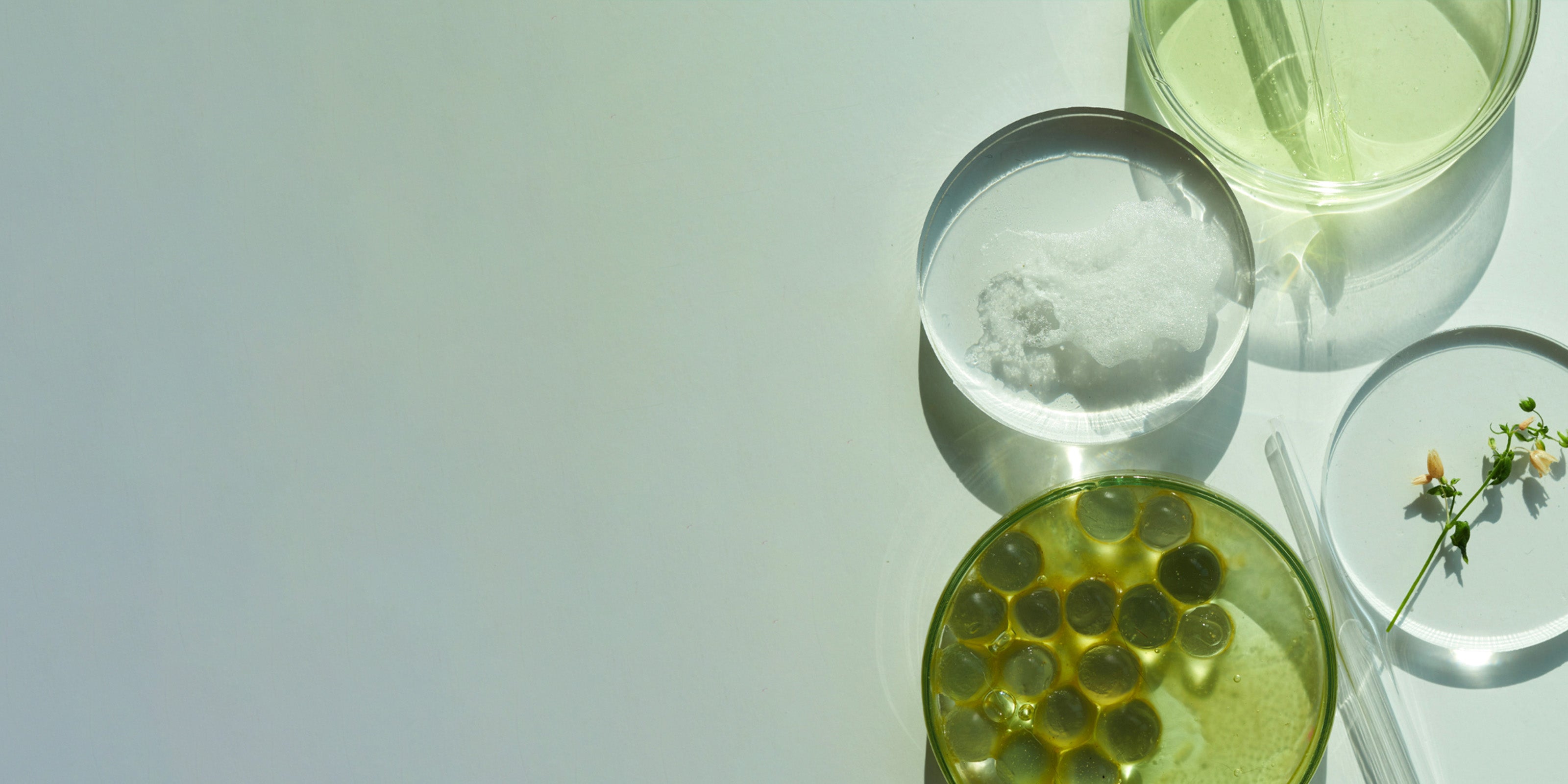 Wirkstoffe in unserer Naturkosmetik