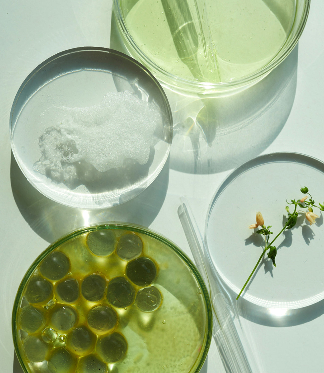 Wirkstoffe in unserer Naturkosmetik