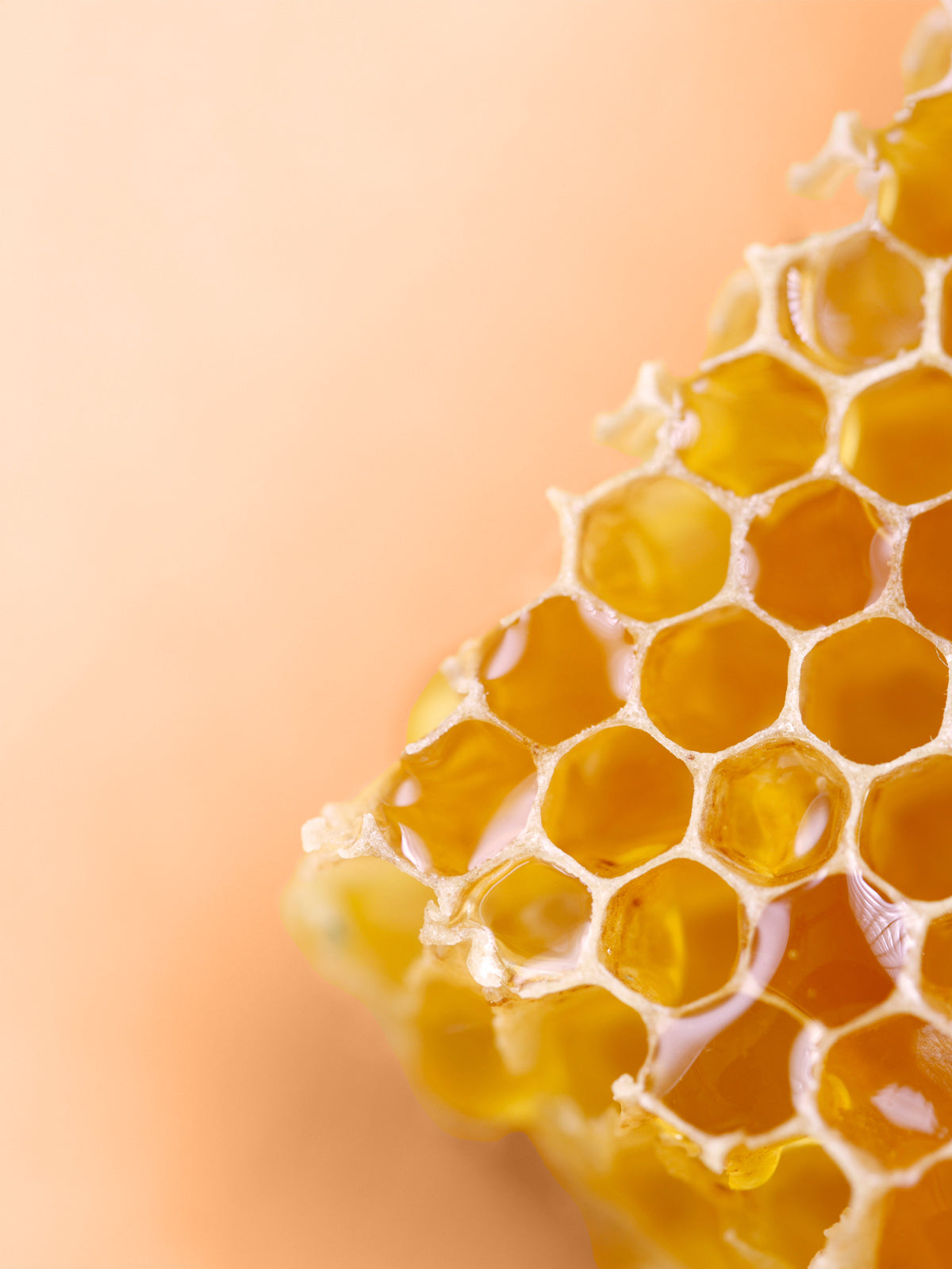 Naturkosmetikprodukte mit Biobienenwachs