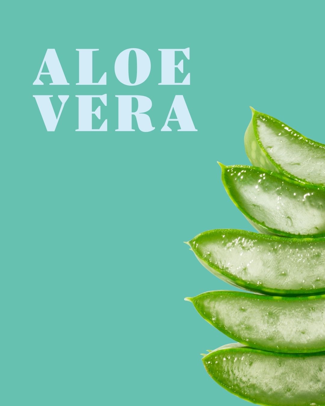 Aloe Vera Serum: Wofür es wirklich gut ist – und was es nicht kann