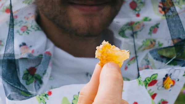 The many talents of beeswax