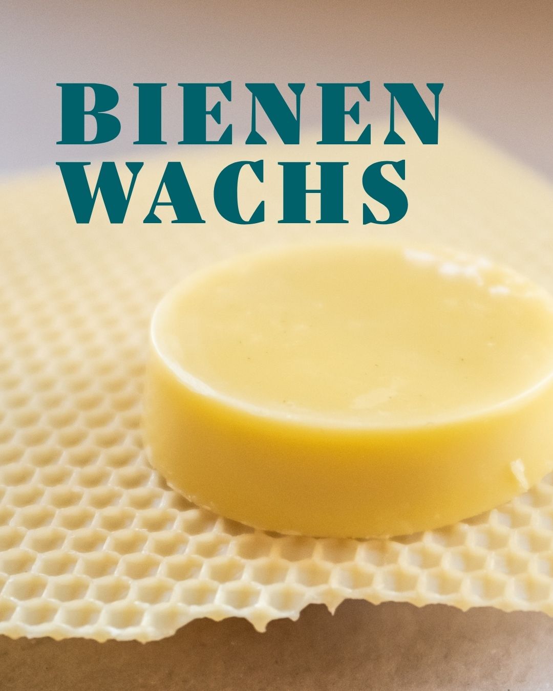Bienenwachs in der Kosmetik: Was es kann – und warum wir es lieben