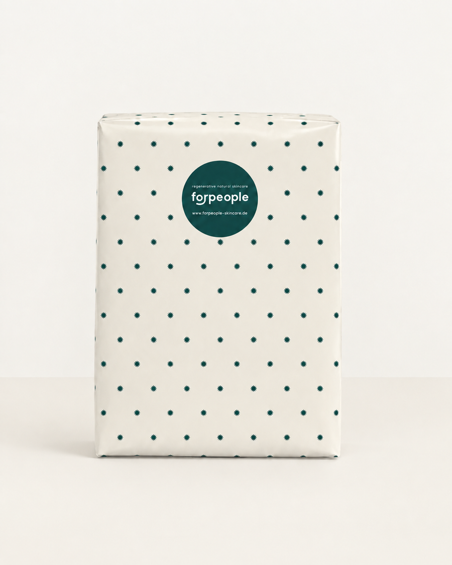 Der verpackte Adventskalender „Winter Well 2026“