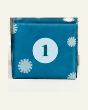 1. Advent